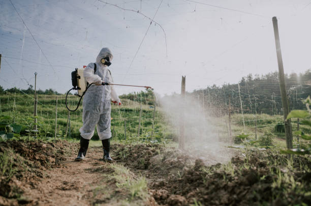 Best Commercial Pest Control Services  in St James, MO