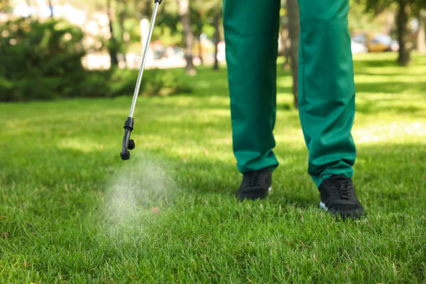 Best Pest Control Near Me in St James, MO